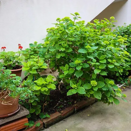 Passage Urban Apartment Dubrovnik *